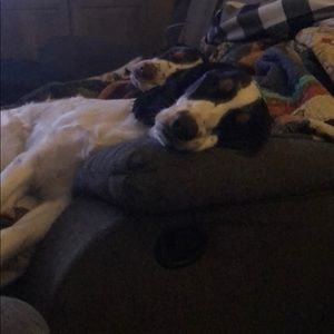 Meet your Posher, Paul